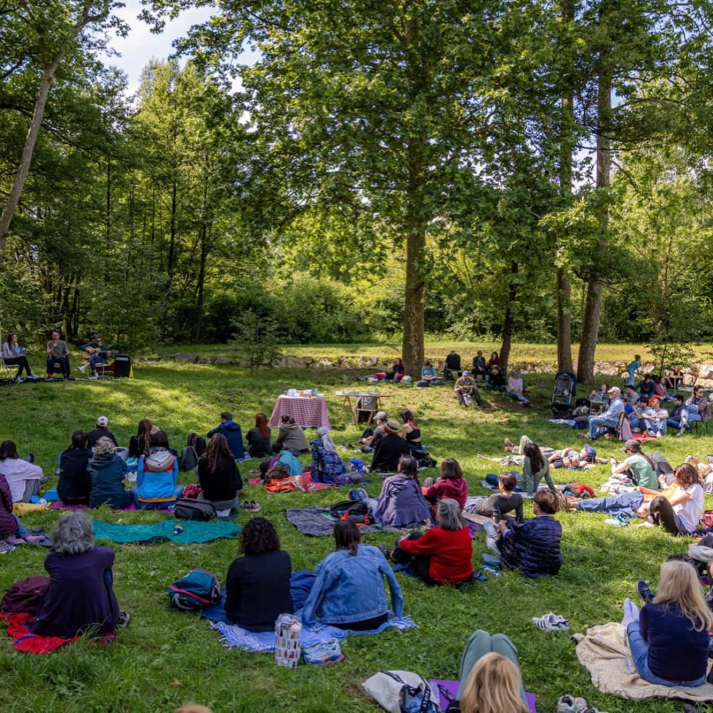 Il pubblico di Wild Roots 2026 seduto sul prato tra gli alberi del Borgo del Maglio